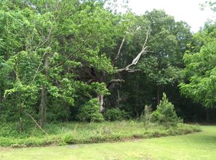 0 Brisbon Rd, Richmond Hill, GA 31324