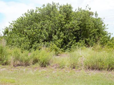 27064 Solomon Dr, Punta Gorda, FL, 33983