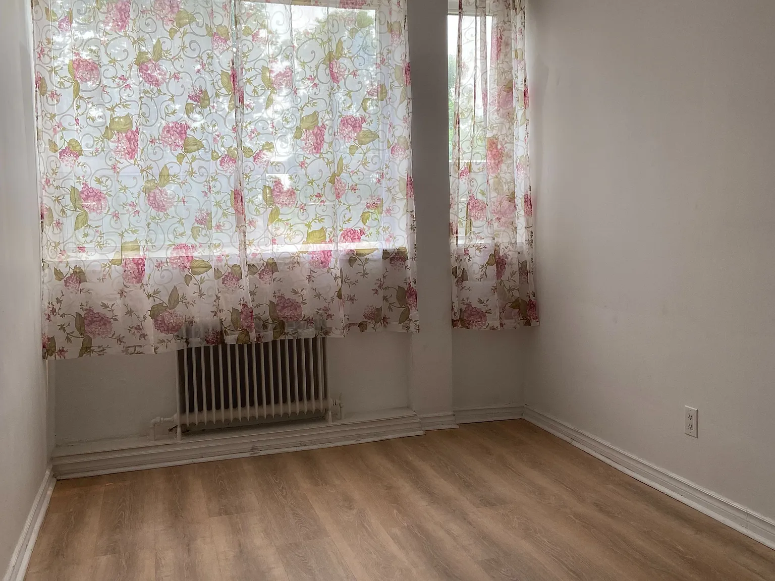 1 bed, $1,650 — Photo 4