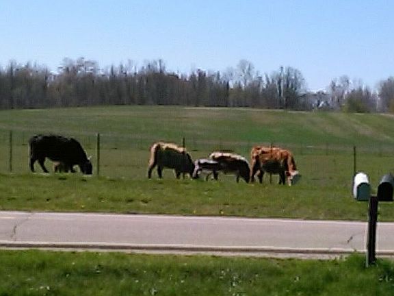 3rd image of 9291 E Prior Rd