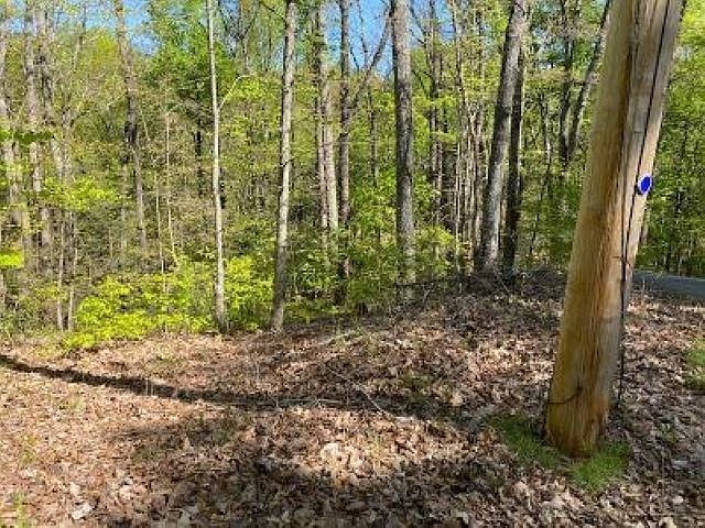 2nd image of 195 N Oak Ct Lot 195A