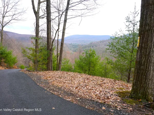 20 Lion's Way, Shady, NY 12409