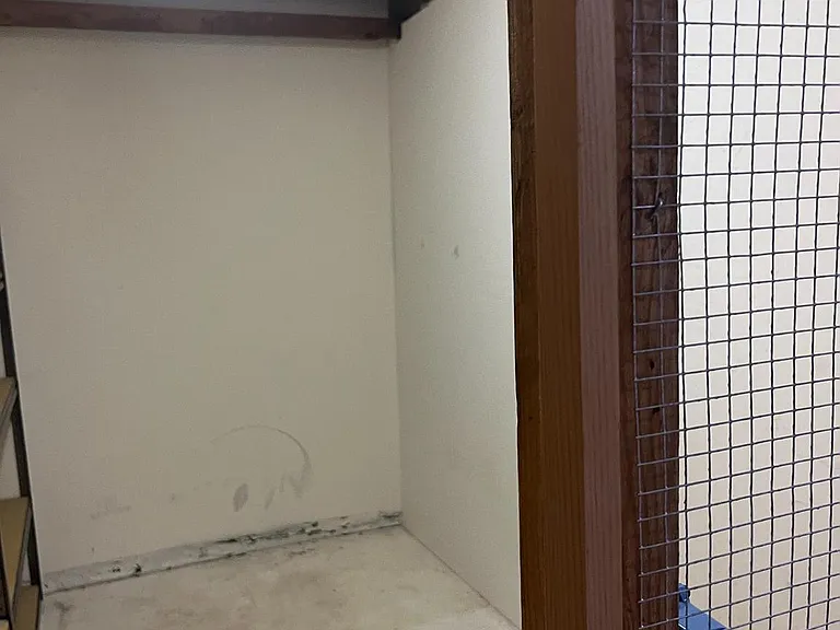 921 Prospect St #5 — Photo 24