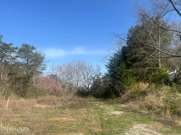 701 Old Witt Rd, Morristown, TN 37813