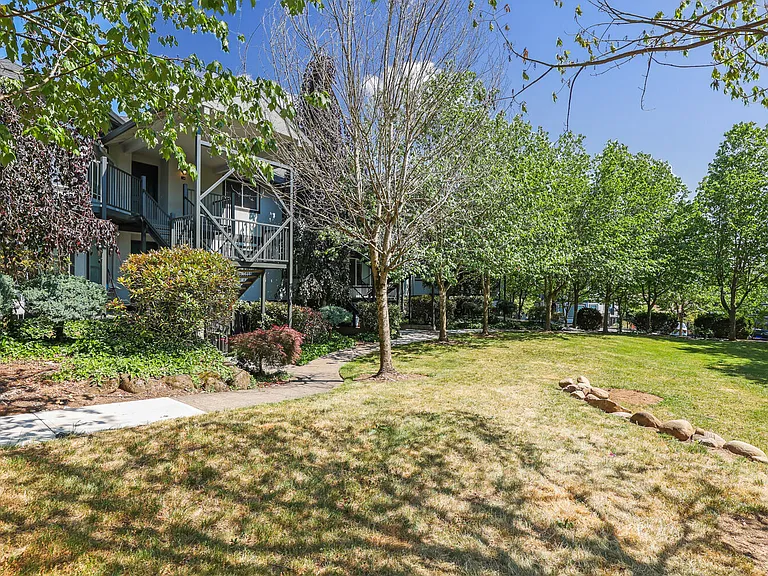 Veri 1319 — Photo 11