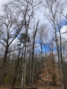 1351 Ogletree Rd, Auburn, AL, 36830