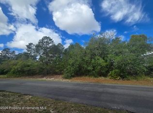 4113 Portillo Rd, Spring Hill, FL 34608