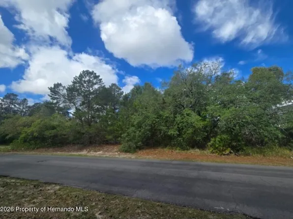 4113 Portillo Rd, Spring Hill, FL 34608