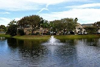 Pond