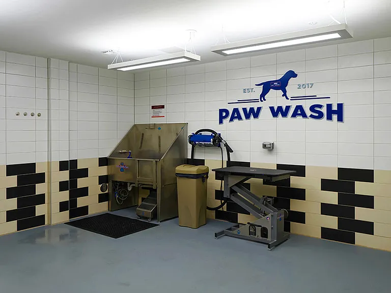 Paw Wash