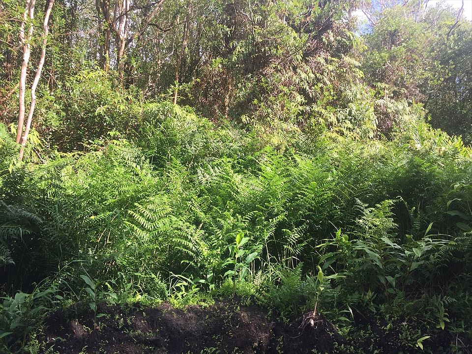 2nd image of Kauai St Lot 8