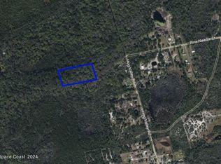 Pine Needle St, Mims, FL 32754