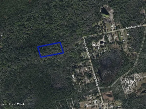 Pine Needle St, Mims, FL 32754