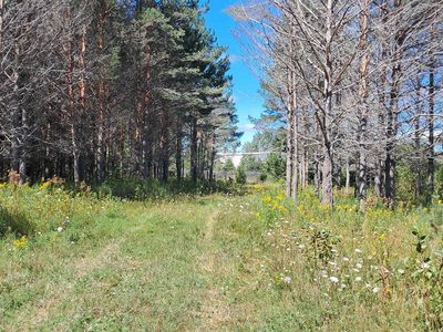 Y.25 Ln, Rapid River, MI, 49878