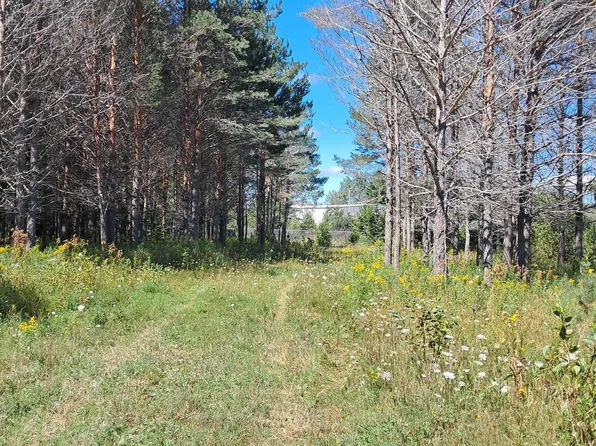 Y.25 Ln, Rapid River, MI 49878