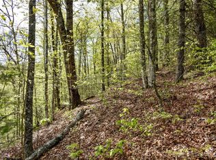 L54 Overlook Ridge Rd #54, Bryson City, NC 28713