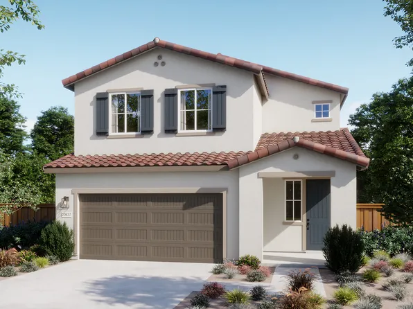 Fern Plan, Willow at Cypress