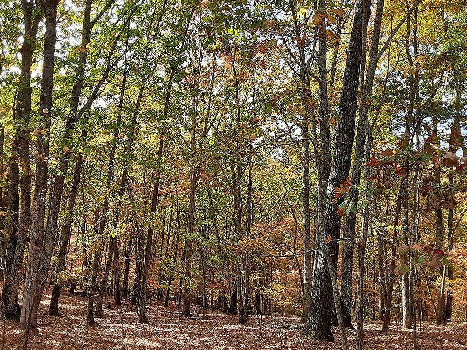 Fall Photos