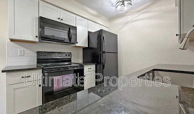 409 W Pontiac Dr #3 — Photo 5
