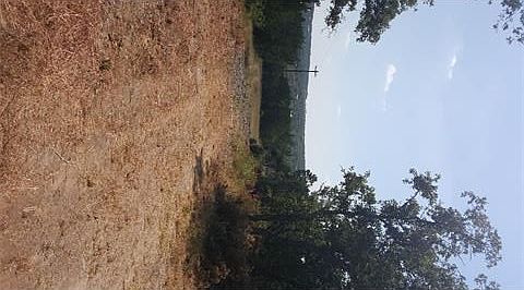 1st image of 23401 W State Highway 71