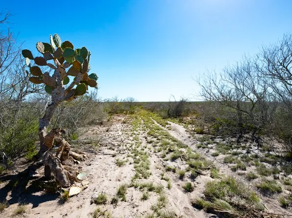 County Road 325, Freer, TX 78357