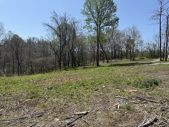 2nd image of 0 Highway 49 E Tract 4