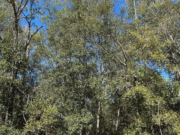 Tba Southwest St #55, Ocala, FL 34481