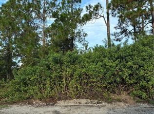 1113 Lake Ave, Lehigh Acres, FL 33972