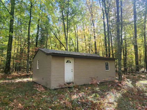 5867 W Nine Mile Rd, Irons, MI 49644