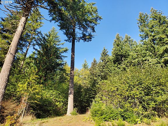 2nd image of 42890 NW Hidden Mountain Dr