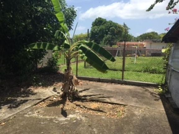 4th image of BJ7 Calle Yagrumo