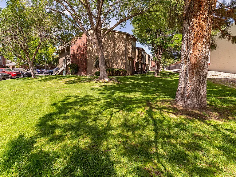Oak Tree Park — Photo 21