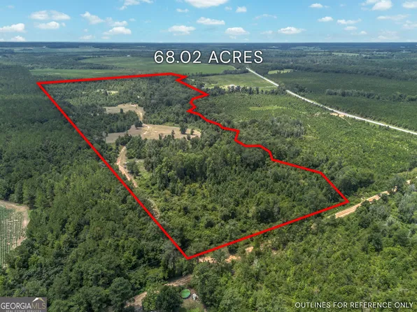 Nicholson Carr Rd, Chester, GA 31012