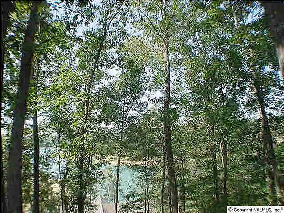 5th image of 333 County Road 880