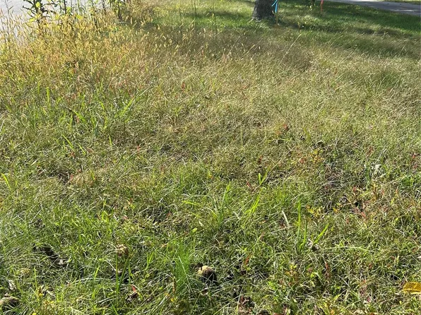 59 Wyatt St, Asheville, NC 28803