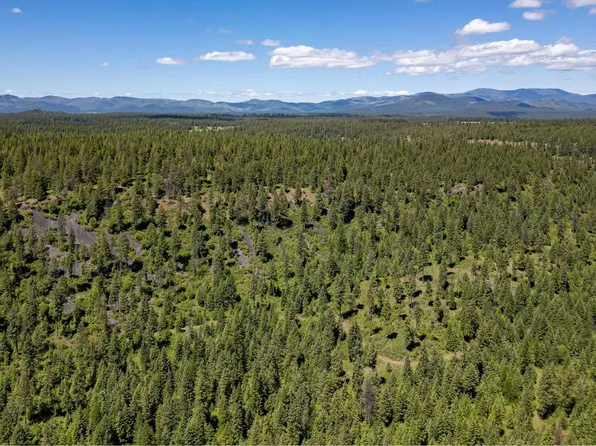 4480 Dillon Rd, Springdale, WA 99173