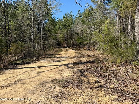 3rd image of County Road 4103