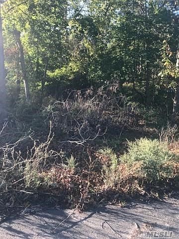 2nd image of Ormond Ave