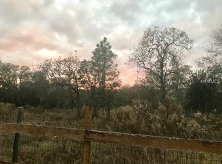 17821 Overstreet Ln, Spring Hill, FL 34610