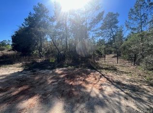 6410 N Zircon Poin, Dunnellon, FL 34433
