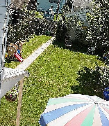 backyard view from balcony