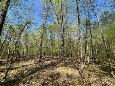 LOT 13 Hide Away Trl, Danbury, WI, 54830
