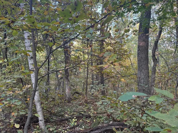 Dell Marie Pl, Pequot Lakes, MN 56472