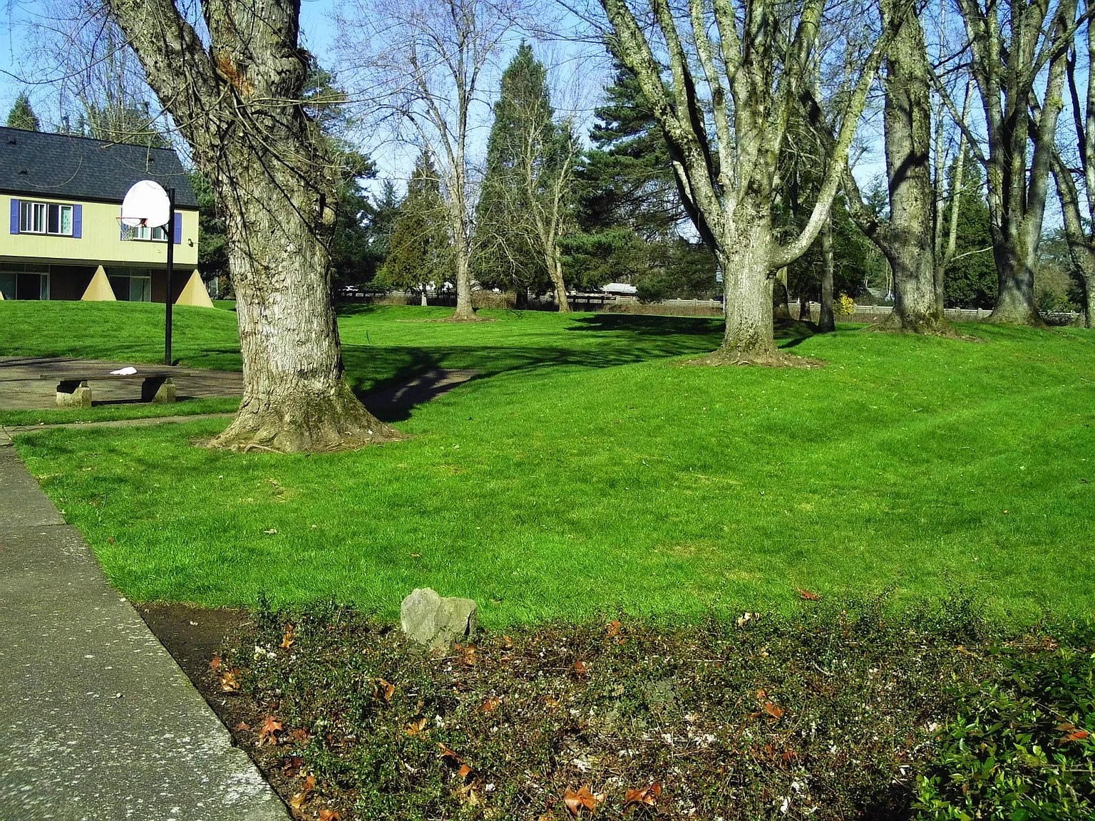 Firwood Village — Photo 4