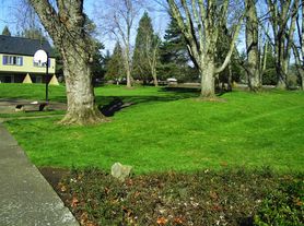 Firwood Village
