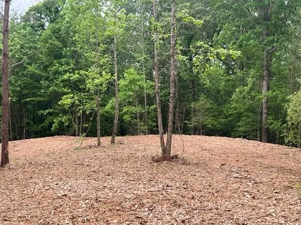 5 Swan Bridge Rd #5, Talking Rock, GA 30175