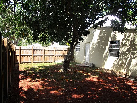This is the rest of very private back yard! Mango tree!