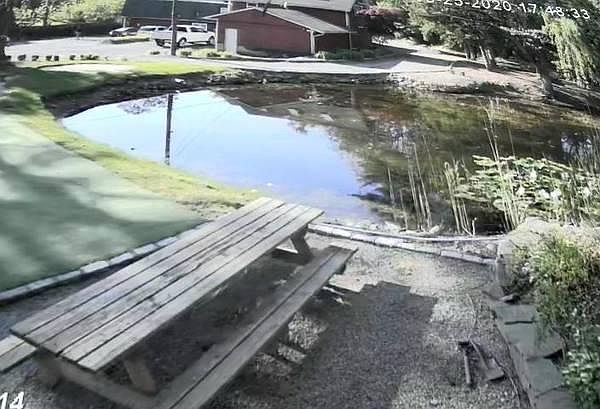 1st image of 2000 Deer Park Ave