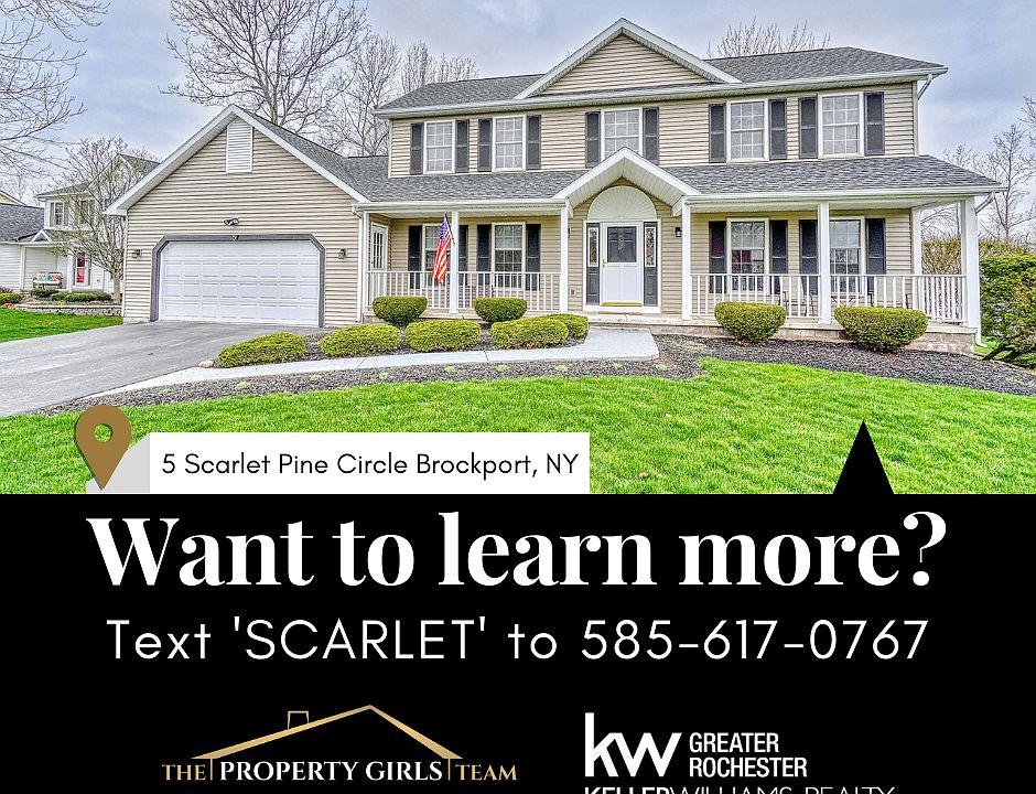 1st image of 5 Scarlet Pine Cir