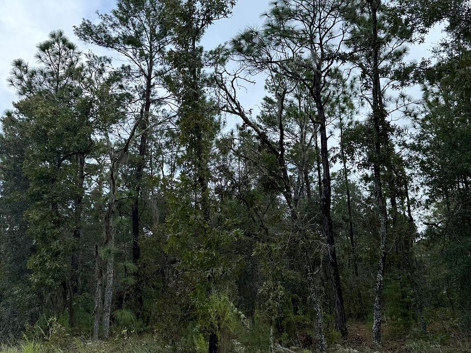 2nd image of 5820 CAMPO Drive